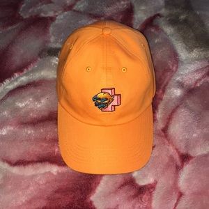 Pink Dolphin Hat